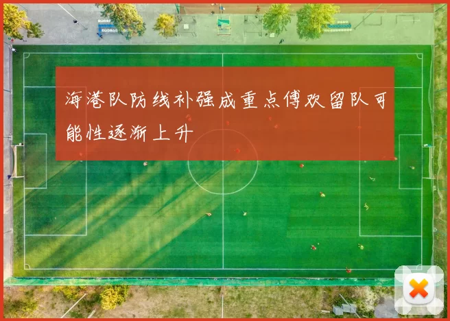海港队防线补强成重点傅欢留队可能性逐渐上升