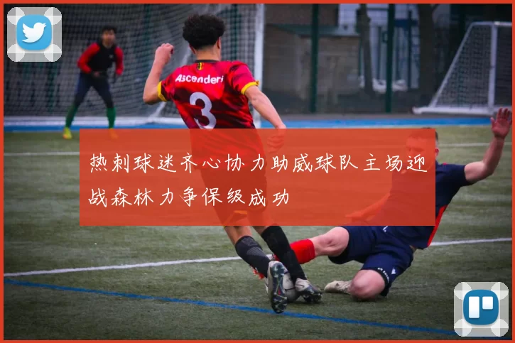 热刺球迷齐心协力助威球队主场迎战森林力争保级成功